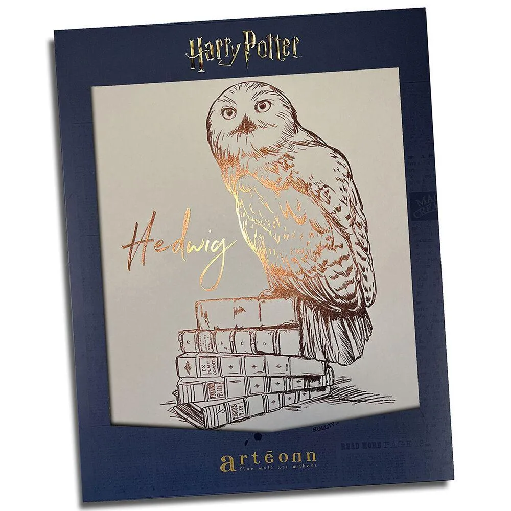 HARRY POTTER -POSTER RIGIDE HEDWIGE