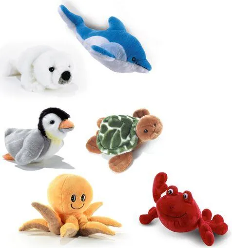 DISPLAY 6 PIECESOCEAN  NOUVELLE MER- L26 CM