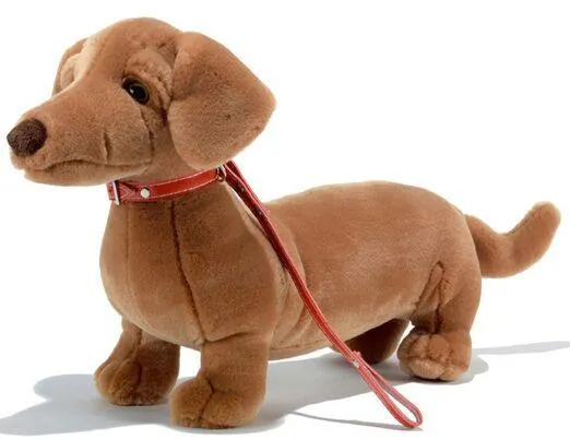 NAPOLEONE TECKEL L 38 CM