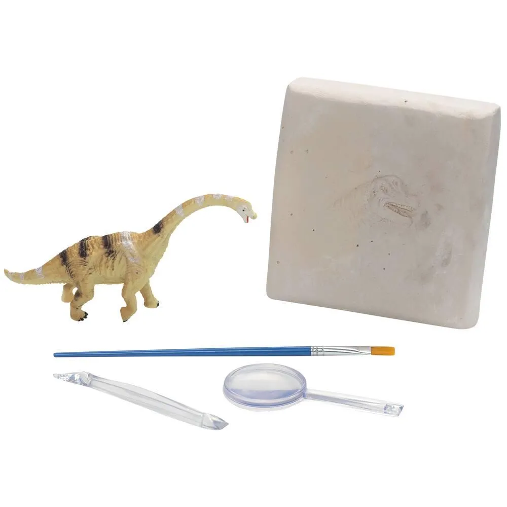 MON KIT D'EXPLORATION DINOSAURE - BRACHIOSAURUS