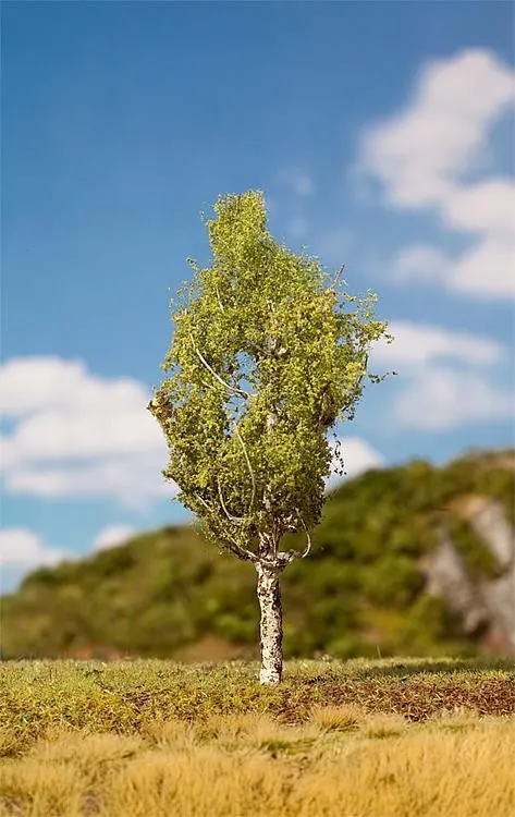 1 bouleau PREMIUM Faller