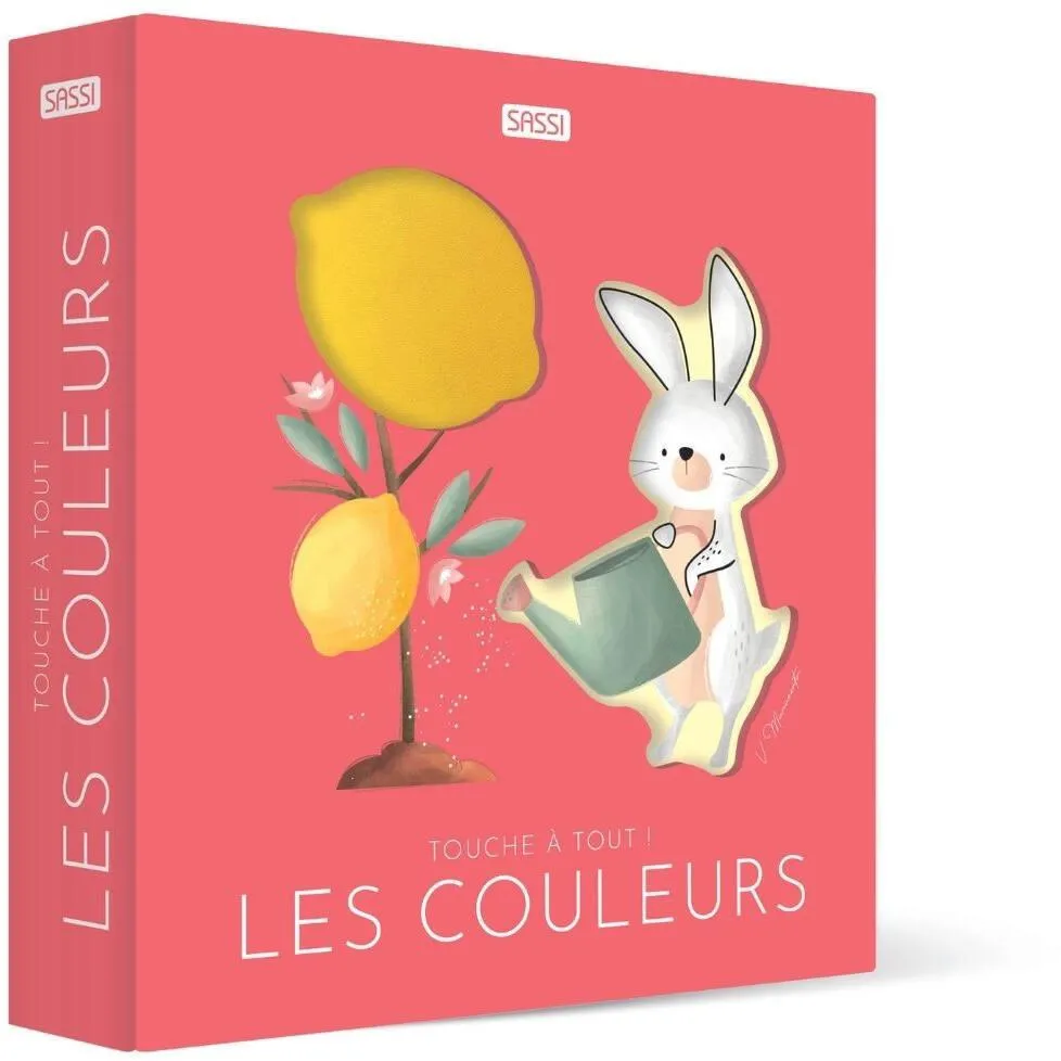 TOUCHE A TOUT  LES COULEURS