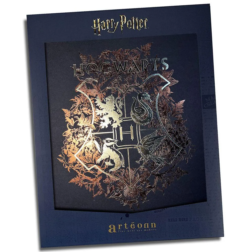 HARRY POTTER -POSTER RIGIDE POUDLARD