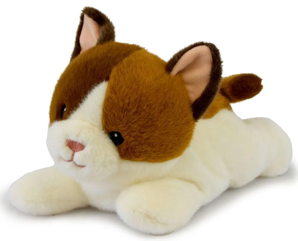 LES P'TITS RELAX - CHAT MM