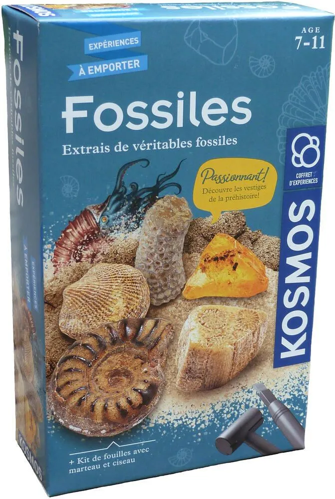 FOSSILES A DETERRER