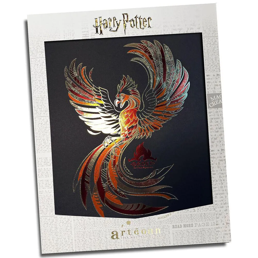 HARRY POTTER -POSTER RIGIDE ORDRE DU PHENIX