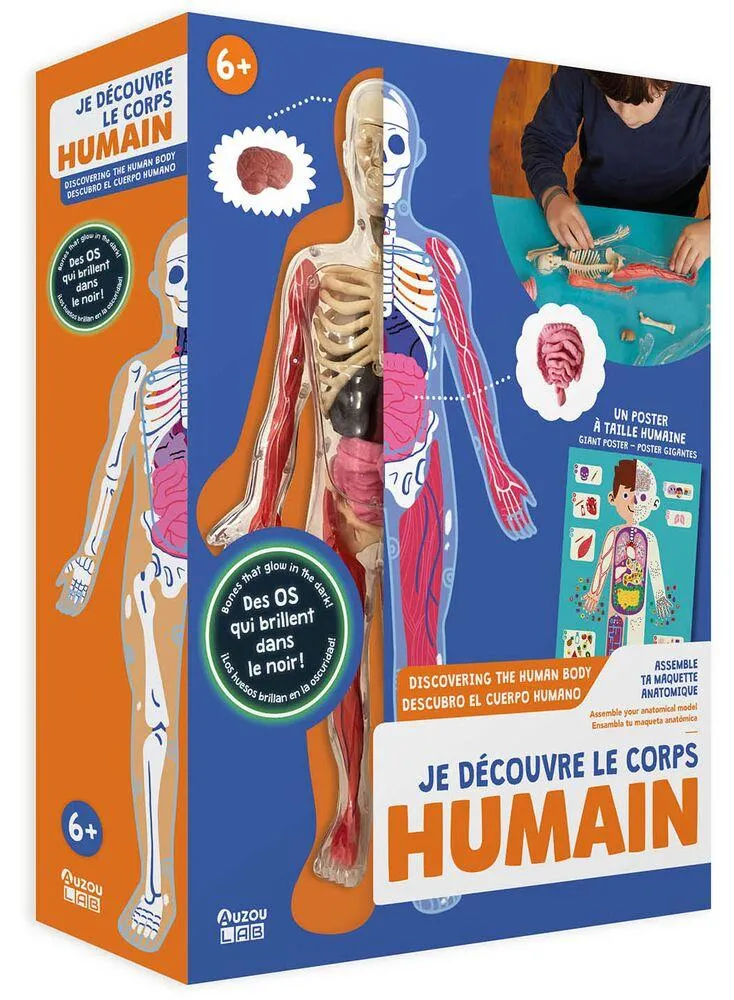 JE DECOUVRE LE CORPS HUMAIN