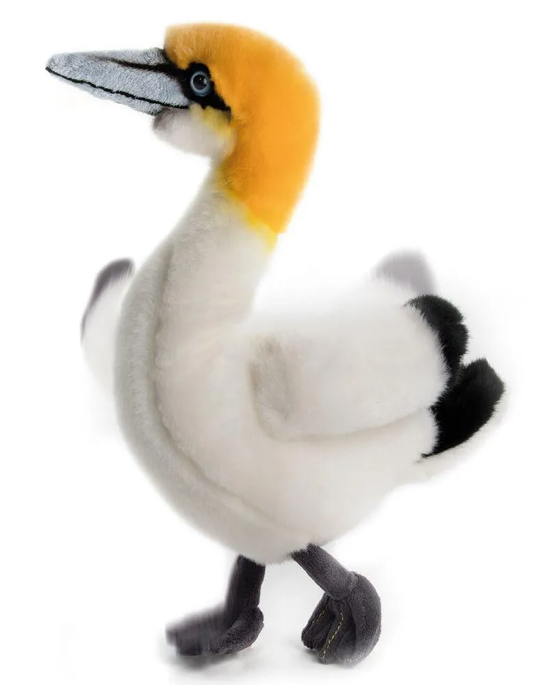 MORUS OISEAU DE LA MER H 23 CM