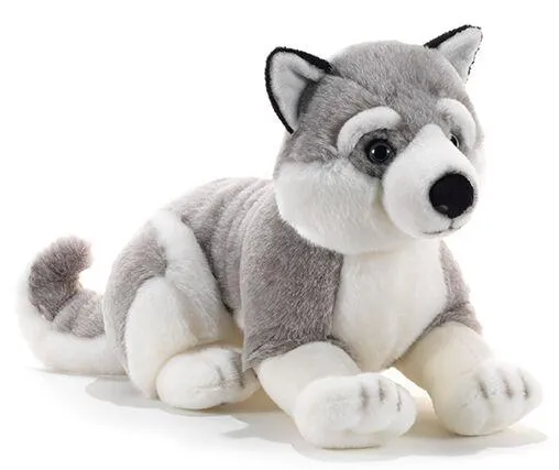 TOMSKY HUSKY DE SIBERIE - L50 CM