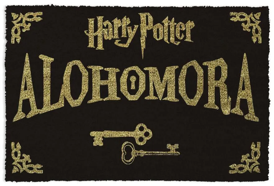 HARRY POTTER PAILLASSON ALOHOMORA