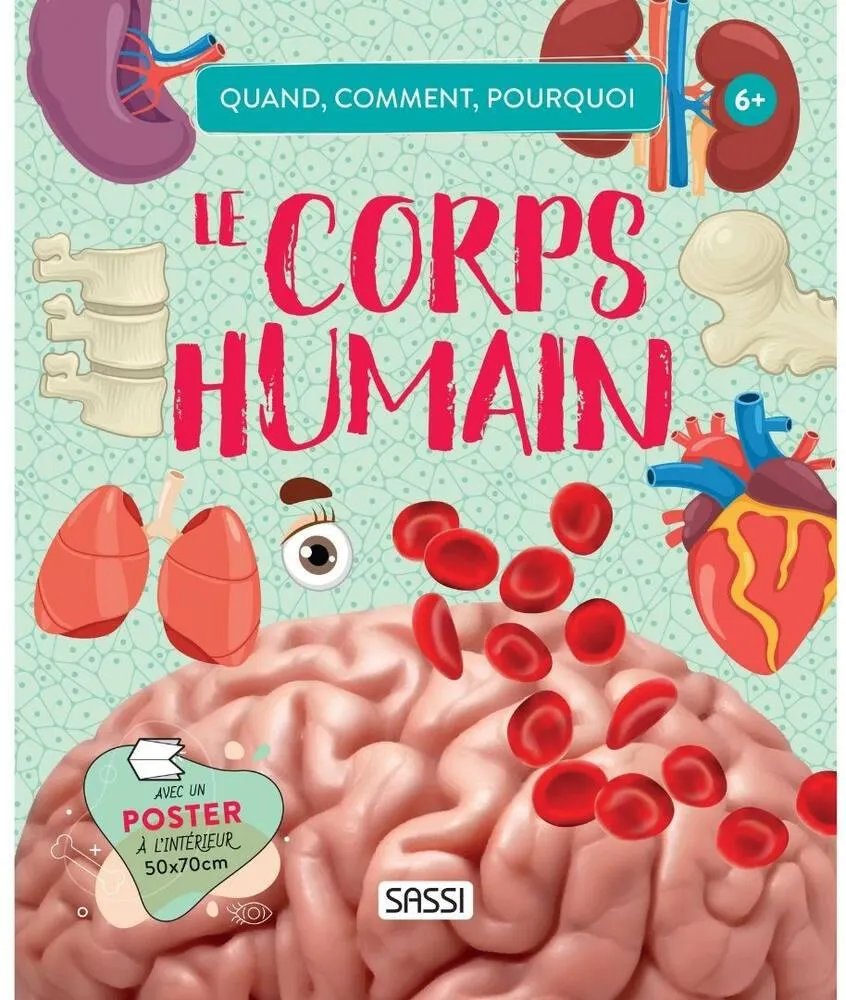 QUOI COMMENT POURQUOI - LE CORPS HUMAIN