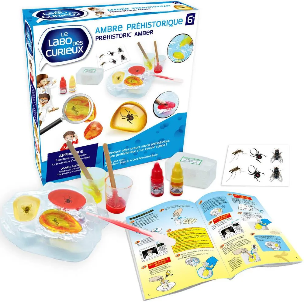 L'AMBRE PREHISTORIQUE