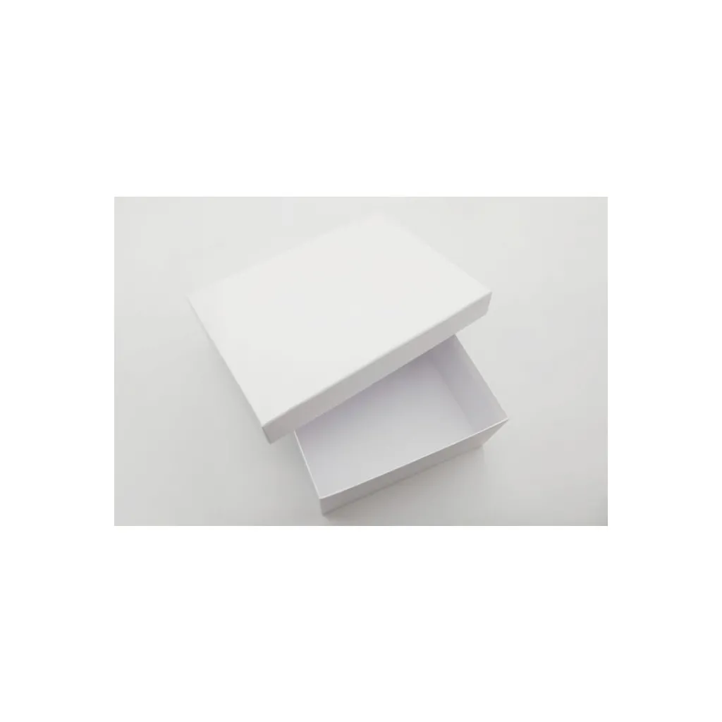 Boîte Blanche Moyenne Rectangulaire