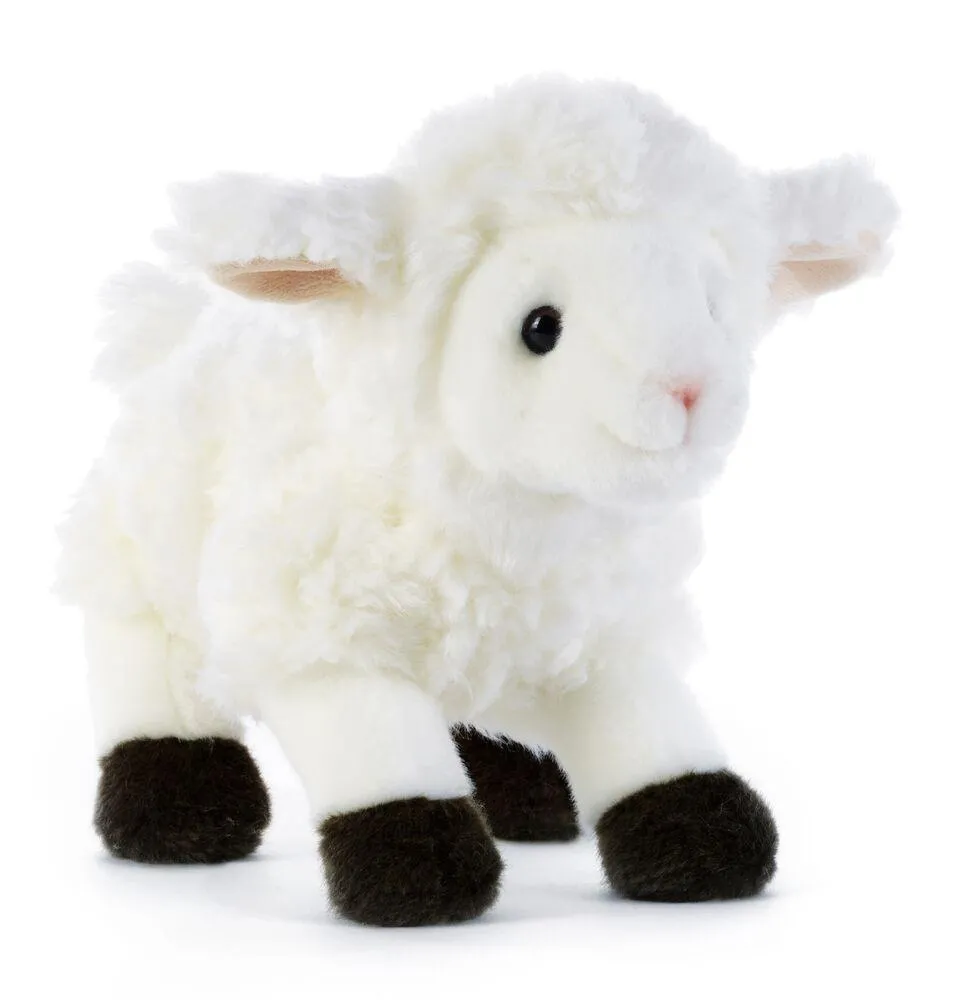 KYRAK AGNEAU - L21 CM