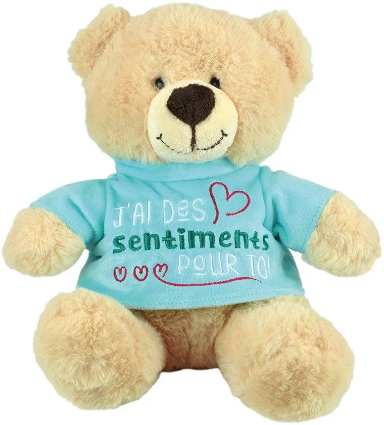 OURS MESSAGE CLASSIQUEJ'AI DES SENTIMENTS POUR TOI