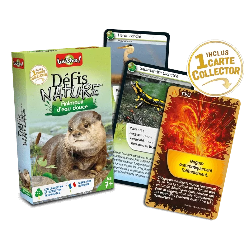 Défis Nature - Animaux d'Eau Douce