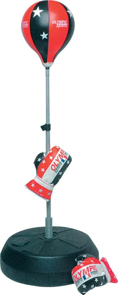 SET DE PUNCHING-BALL