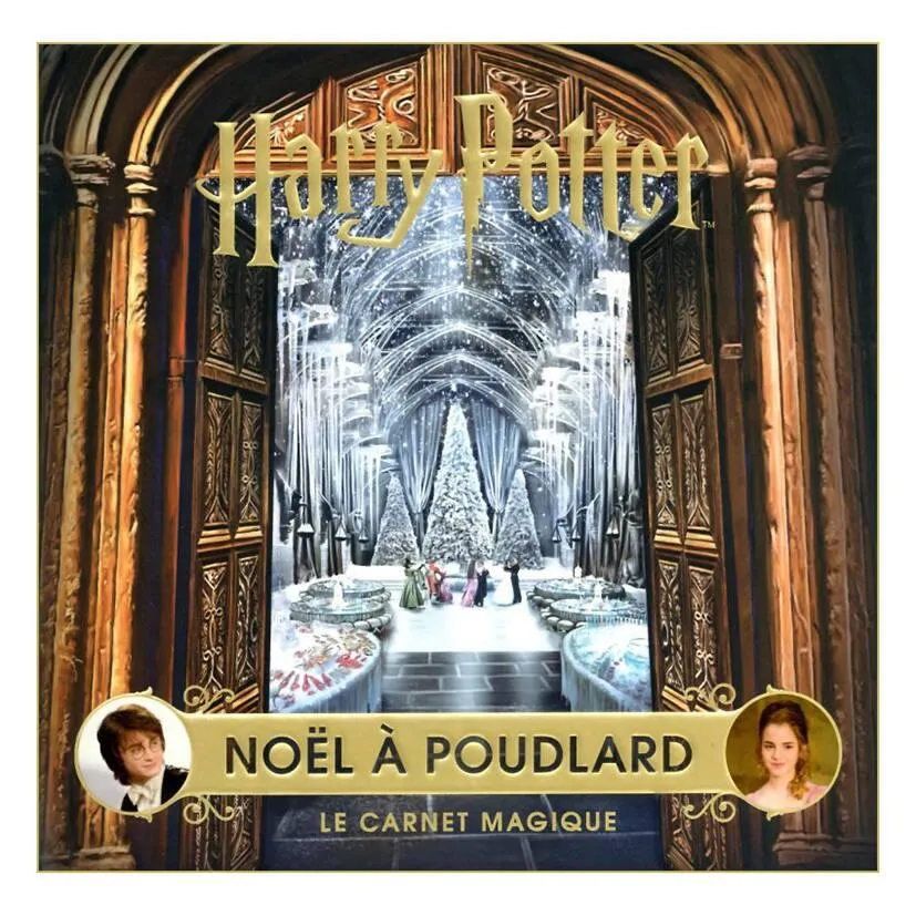 LIVRE NOEL A POUDLARD