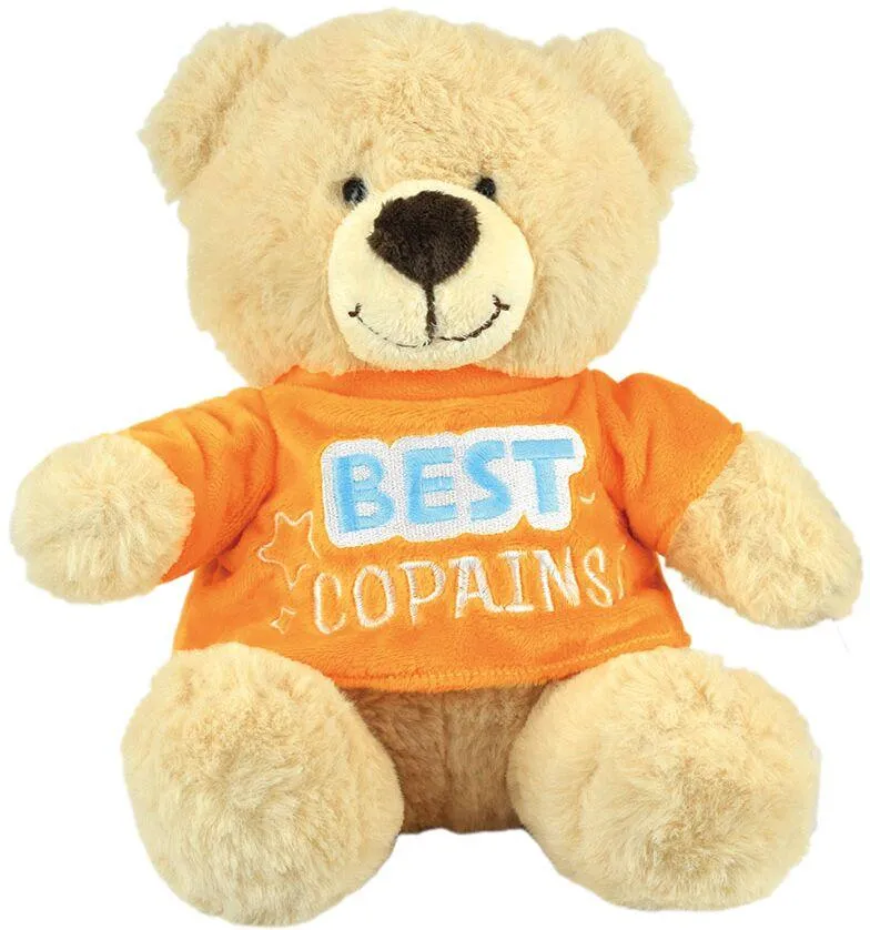 OURS MESSAGE BEST COPAINS