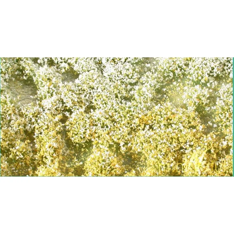 Floraison au printemps. MININATUR - SILHOUETTE 726-21