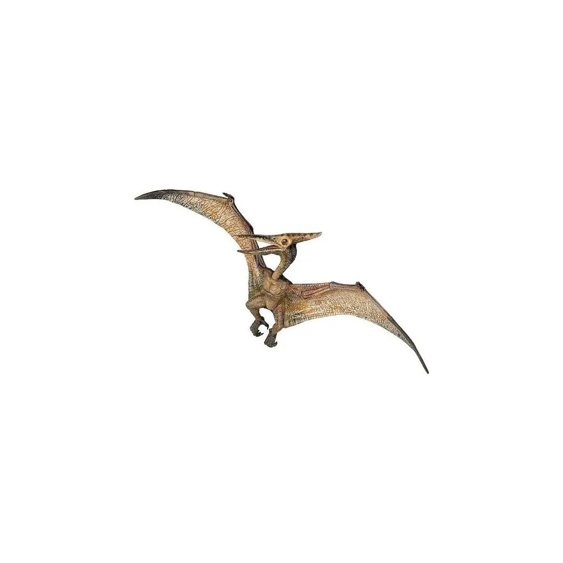 Figurine dinosaure ptéranodon - Papo