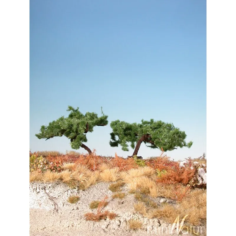 Pins sylvestres. MININATUR - SILHOUETTE 271-02