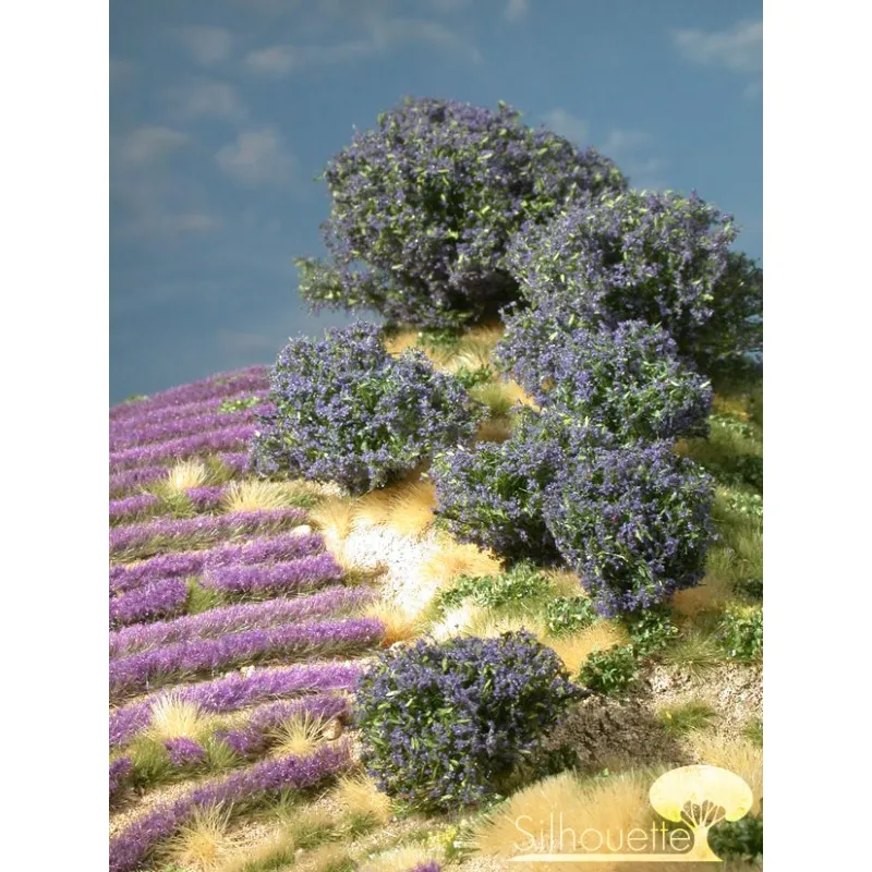 Plante arbustive dans les tons bleus. MININATUR - SILHOUETTE 253-08