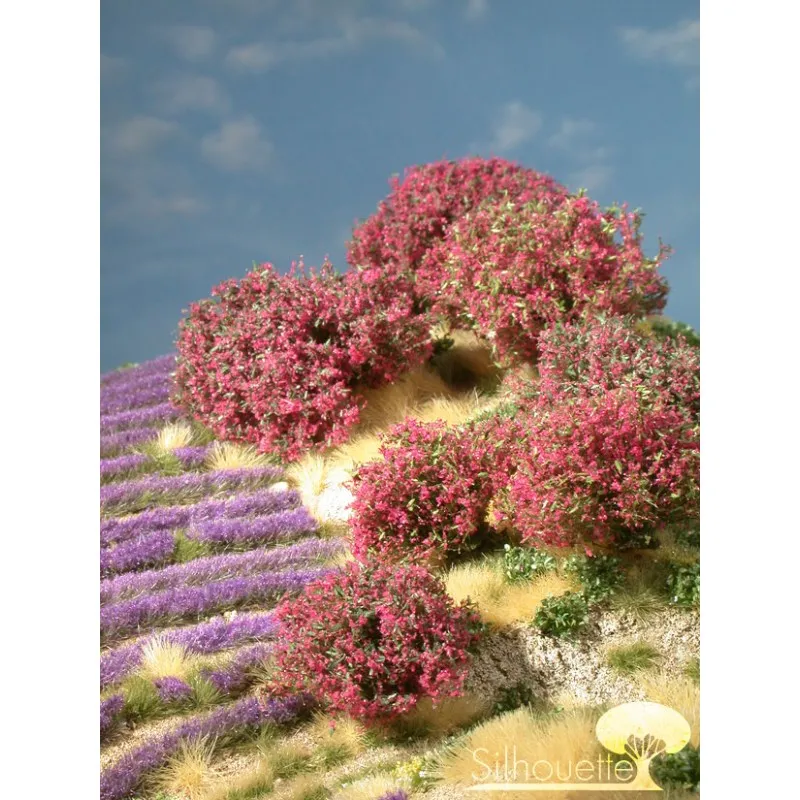 Plante arbustive dans les tons magenta. MININATUR - SILHOUETTE 253-05