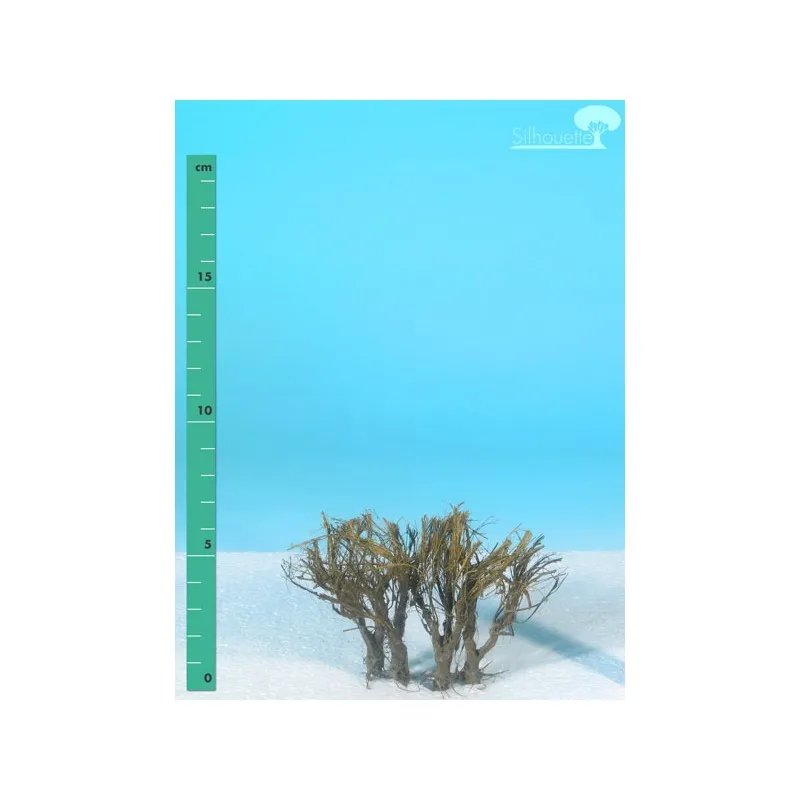 Plantes arbustives. MININATUR - SILHOUETTE 250-00
