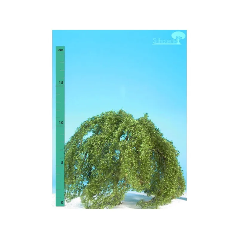 Saule pleureur. MININATUR - SILHOUETTE 240-12